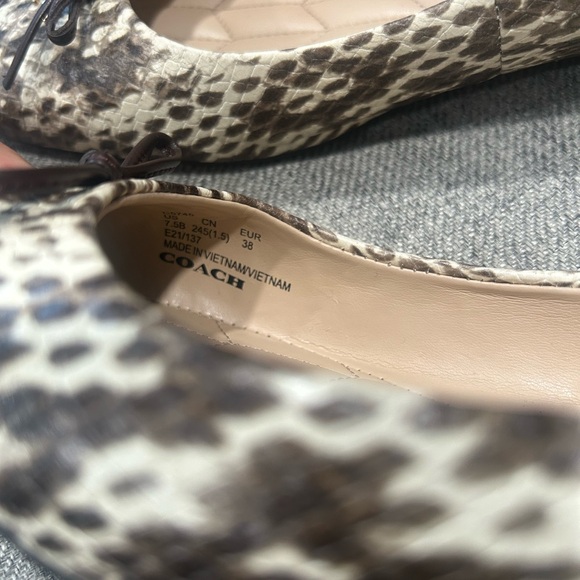 Coach beautiful pointy flat - Picture 4 of 6